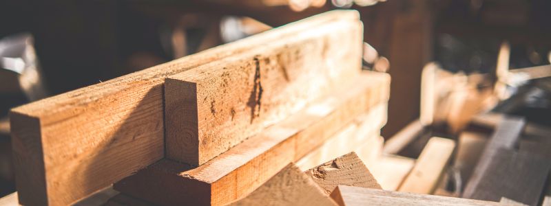 ドッグランを庭に作るには?必要な広さからかかる費用までご紹介