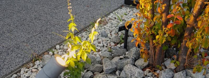 植栽で紅葉を楽しむには？庭木のおすすめをご紹介